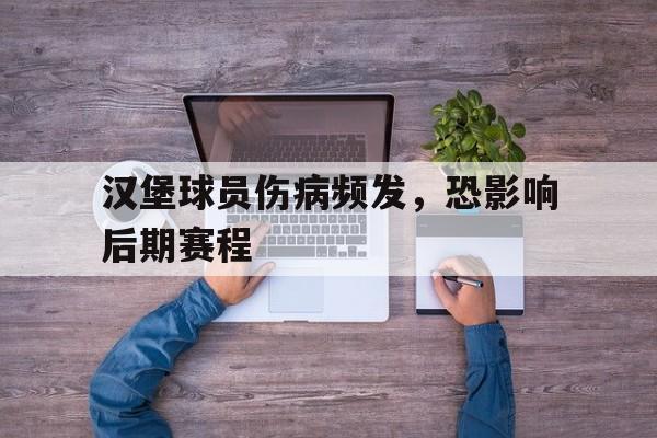 汉堡球员伤病频发，恐影响后期赛程